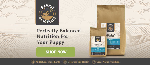 Ramsay - Balanced Nutrition For Your Puppy